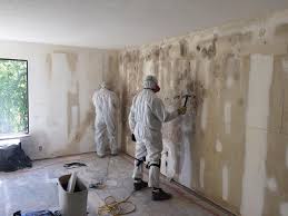 Best Mold Remediation for Healthcare Facilities  in Elroy, WI